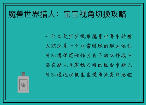 魔兽世界猎人：宝宝视角切换攻略